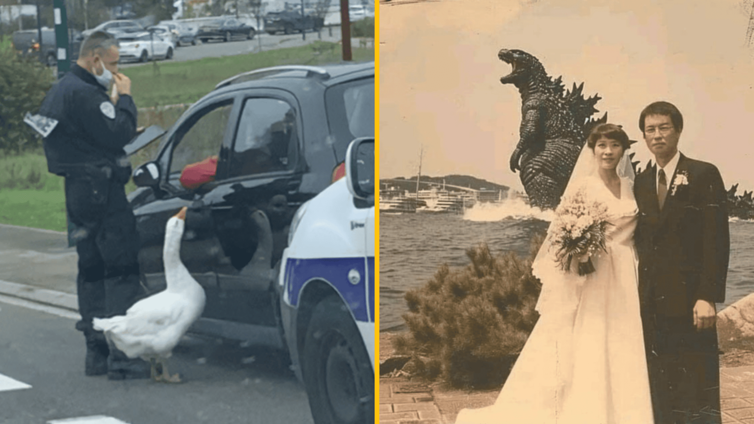 12 fotiek, ktoré sú tak absurdné, až sú geniálne