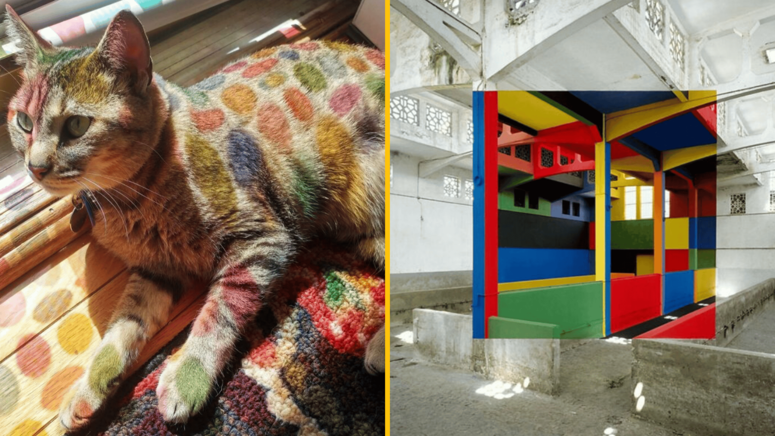 Žiadny Photoshop: 10 fotiek, ktoré vyzerajú ako upravené, ale sú skutočné