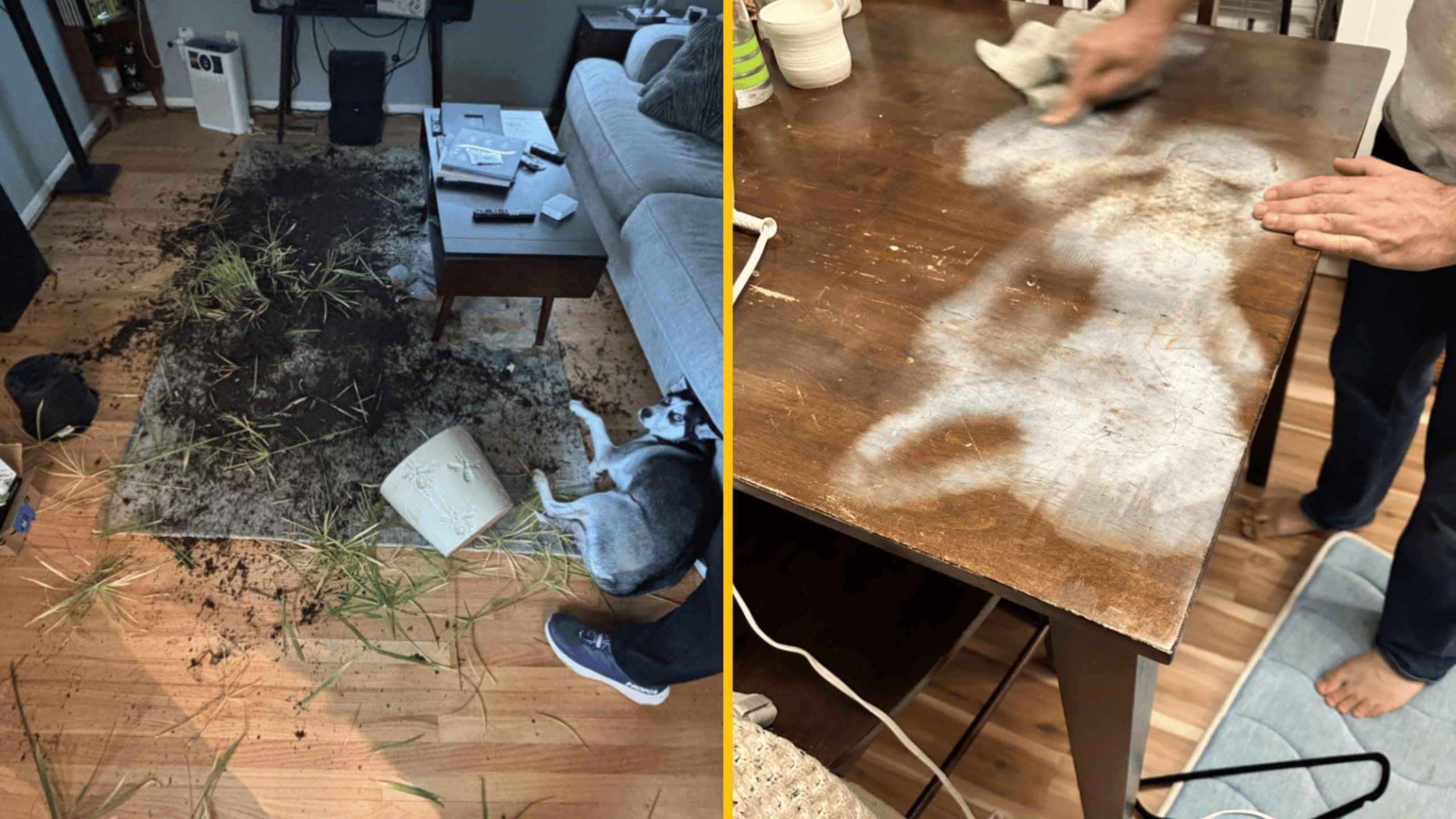 13 fotiek, keď sa niečo dokonale pokazilo