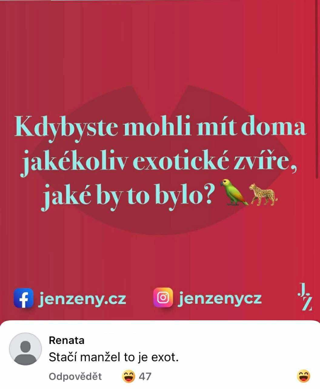 Otázka o výbere exotického zvieraťa na doma, so žartovnou odpoveďou: Stačí manžel, to je exot.