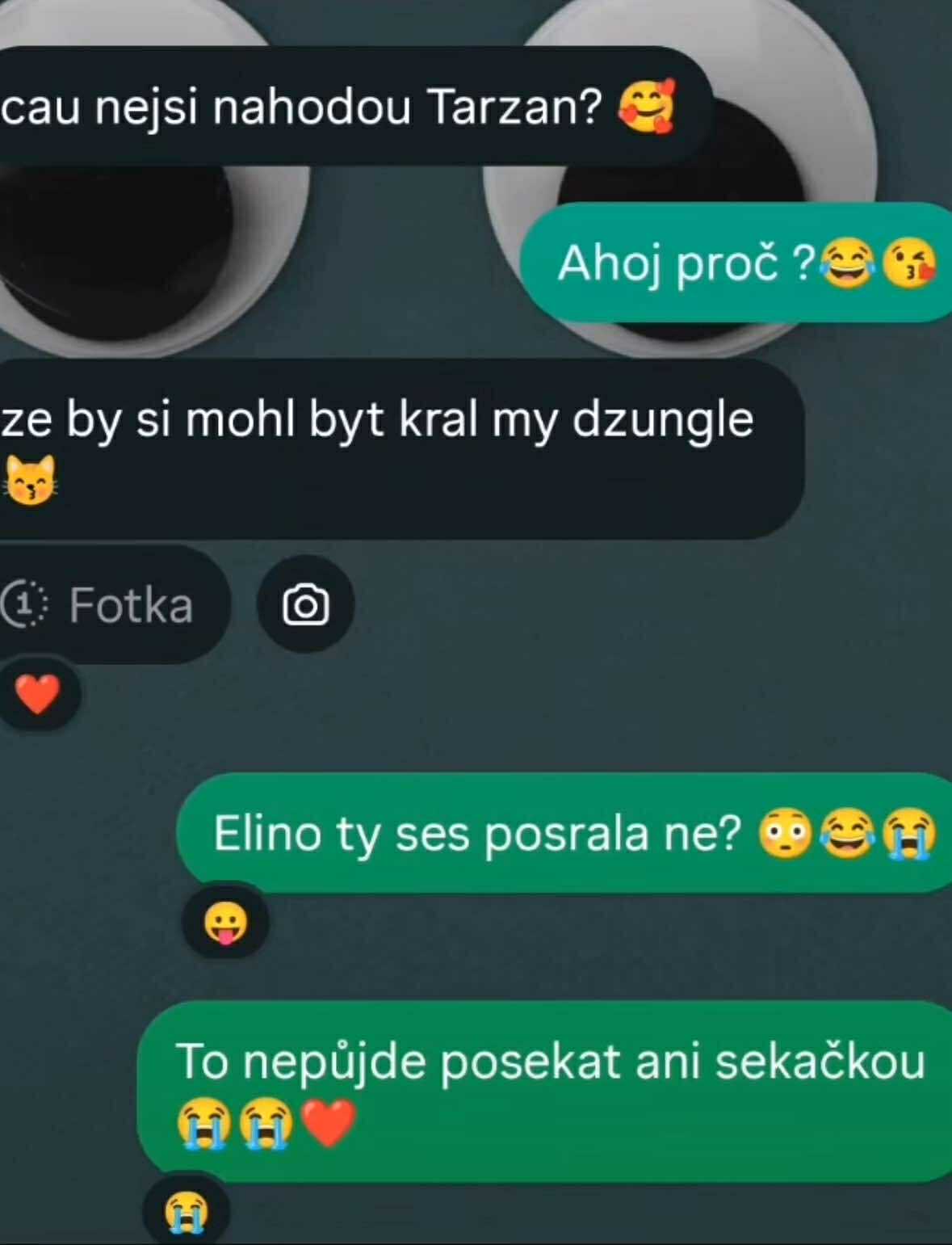 Chatová konverzácia s vtipnou výmenou názorov o Tarzanovi a džungli s emotikonmi.