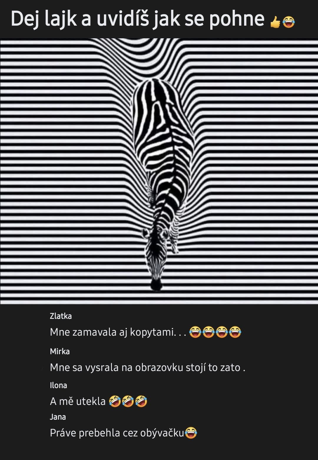 Optická ilúzia so zebrou na čierno-bielom pruhovanom pozadí. Pozoruj pohyb zebry.