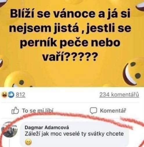 Otázka o perníku na Vianoce: piecť alebo variť? Humoristická diskusia na sociálnych sieťach.