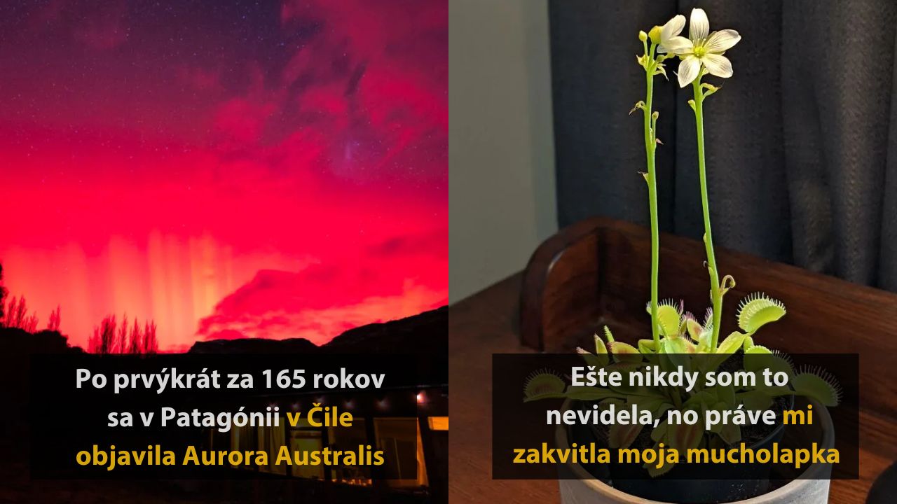 Náhodné fotografie zo sveta, ktoré zachytávajú vzácne a zaujímavé momenty, 1.časť