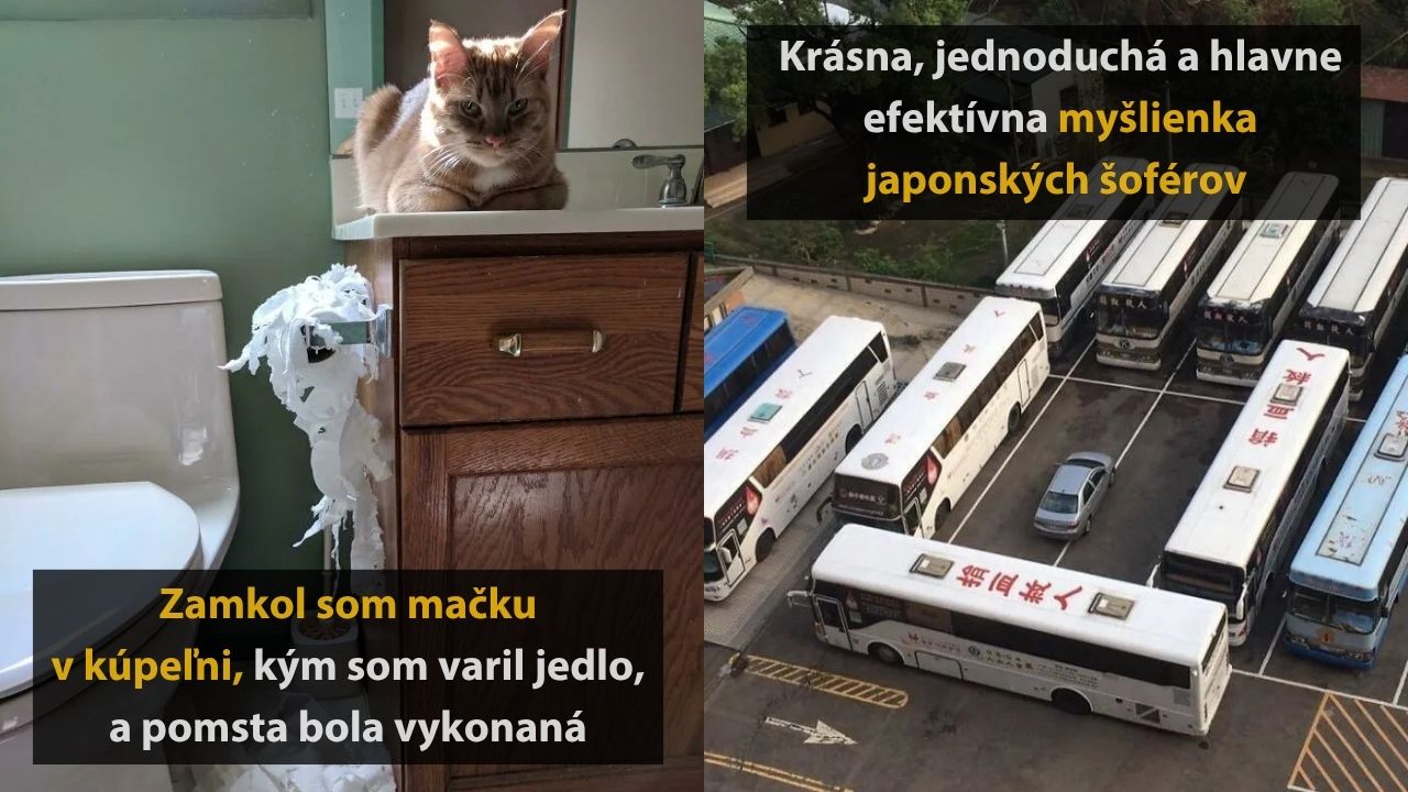 10 jednoduchých, no veľmi efektívnych momentov malichernej pomsty, 1.časť