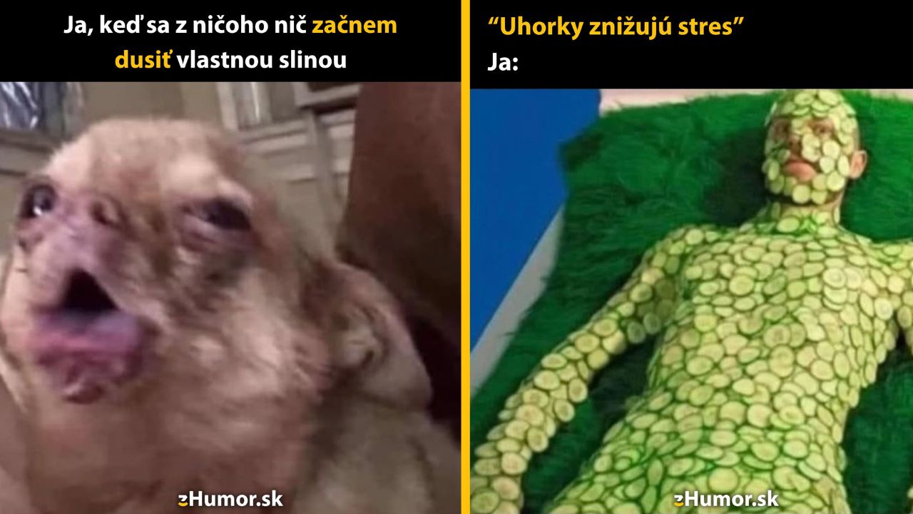 Zopár memes, ktoré vznikli, aby ti spríjemnili deň #1626: Tak toto je môj posledný deň