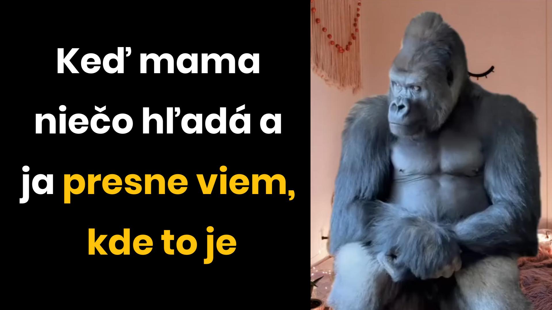 Viedo memes pre dnešný deň #2 – Pomsta je sladká a rodičovstvo vie byť pekne náročné