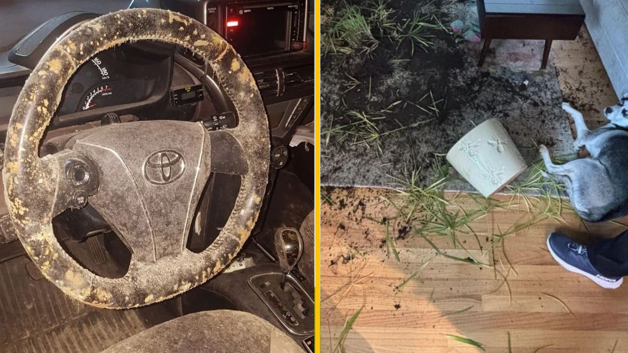 20 prípadov, keď sa plán pokazil tak, že sa stal nezabudnuteľným príbehom