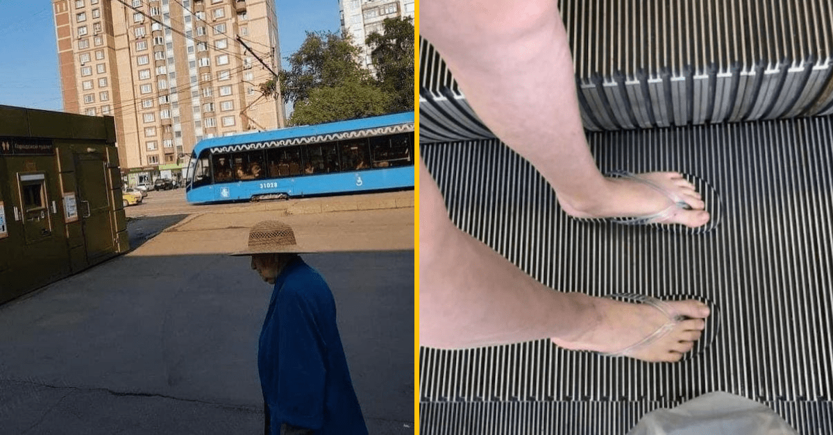 30 príkladov dokonalej kamufláže, ktorá prišla často úplnou náhodou