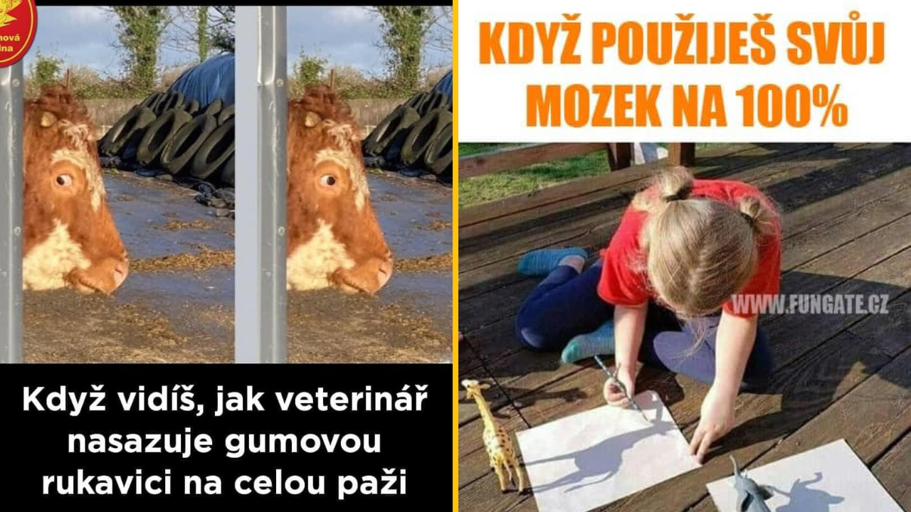 20+ Obrázkov: Všetko vtipné z internetu! #551 – Zaľúbený elektrikár a viditeľný rozdiel medzi generáciami