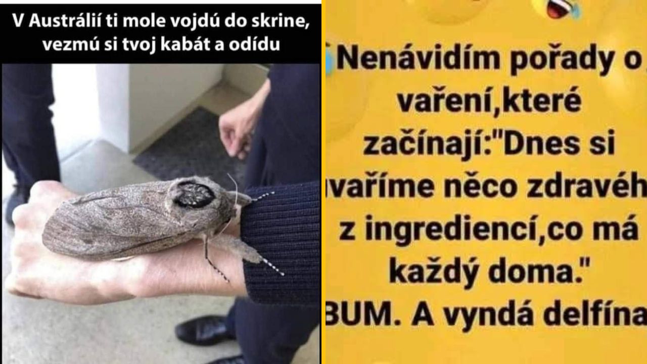 20+ Obrázkov: Všetko vtipné z internetu! #556 – Relácie o varení v skratke ale aj život v slovenskej bytovke