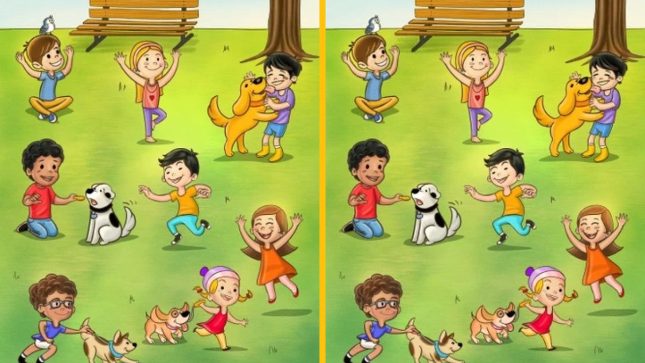 Dva na pohľad rovnaké obrázky, ale skrývajú až 6 rozdielov: Nájdete všetky?