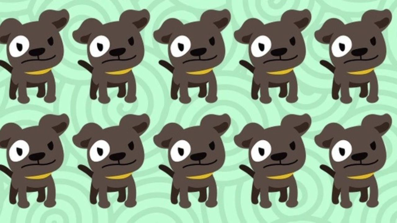 Test: Nájdite do 7 sekúnd iné šteniatko na tomto obrázku