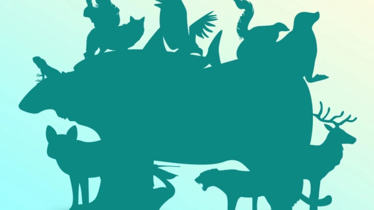 Test pre skutočných odborníkov na prírodu: Koľko zvierat sa skrýva na obrázku?