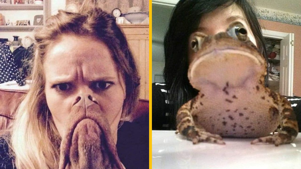 15 vtipných foto prípadov, kedy načasovanie ani nemohlo byť lepšie