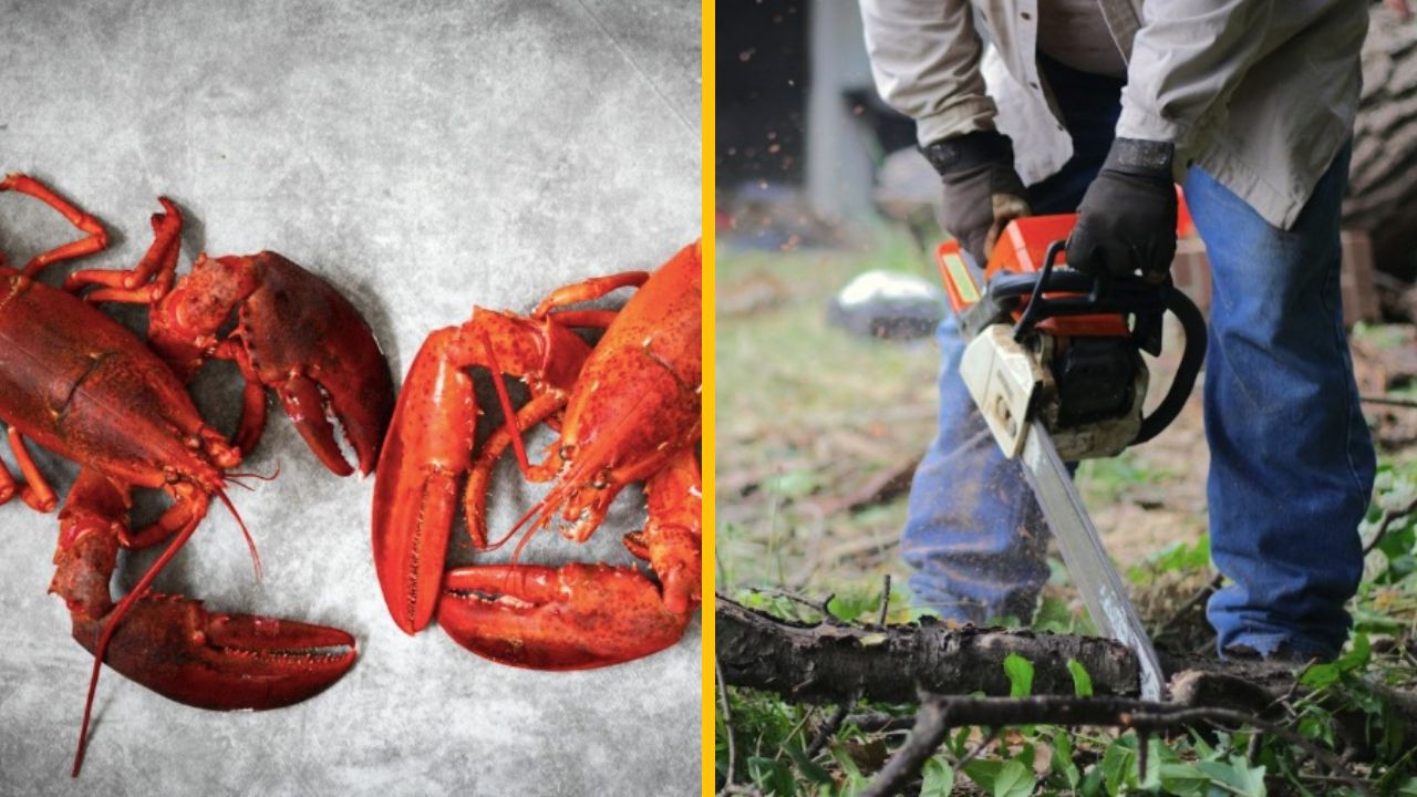 10 znepokojivých faktov, ktoré ukazujú skutočný svet okolo nás