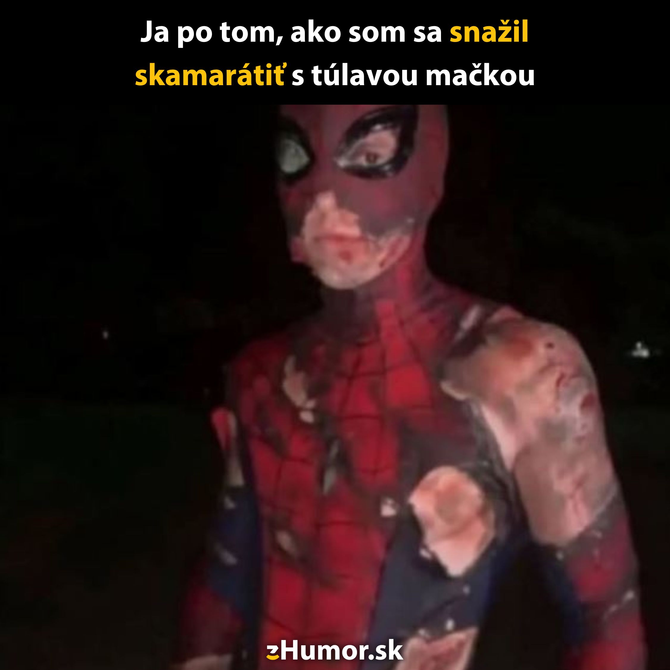 Muž v kostýme pavúka s poškodeným vzhľadom po pokuse o kontakt so zatúlanou mačkou v tmavom prostredí.