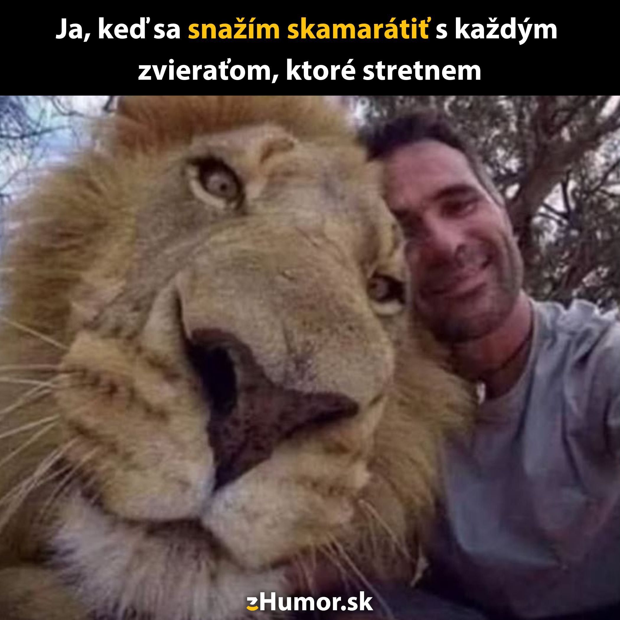 Muž a lev pózujú spolu na selfie vtipnej situácii v prírode.