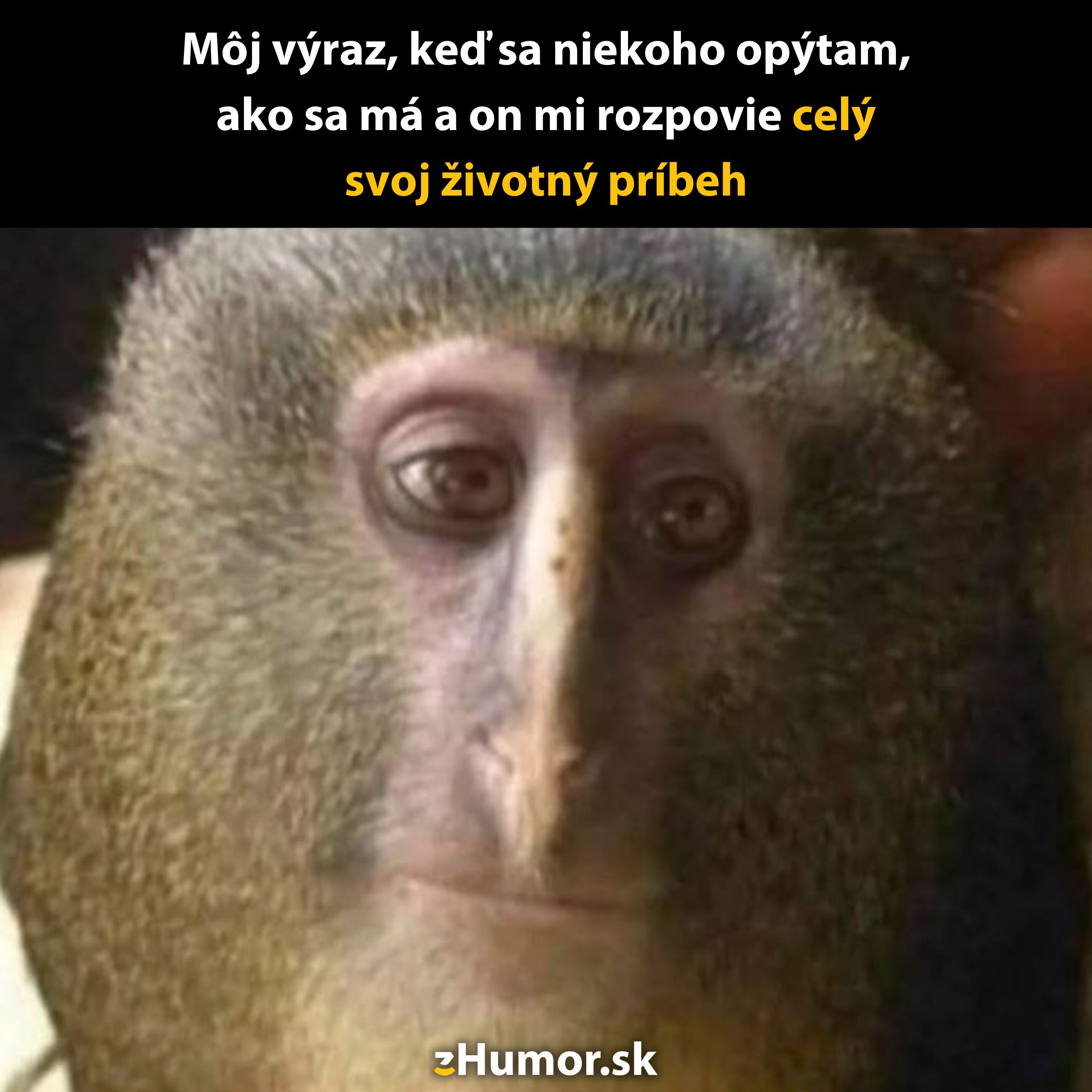 Opica s vážnym výrazom, popisujúca pocit, keď niekto začne rozprávať svoj dlhý príbeh.