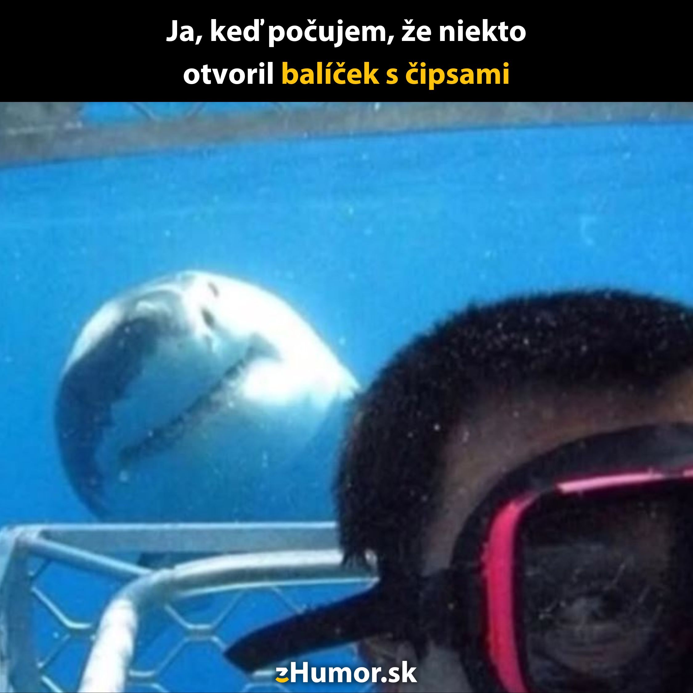 Potápač a žralok vo vode vyjadrujúce vtipný moment a reakciu na otvorenie balíčka čipsov.