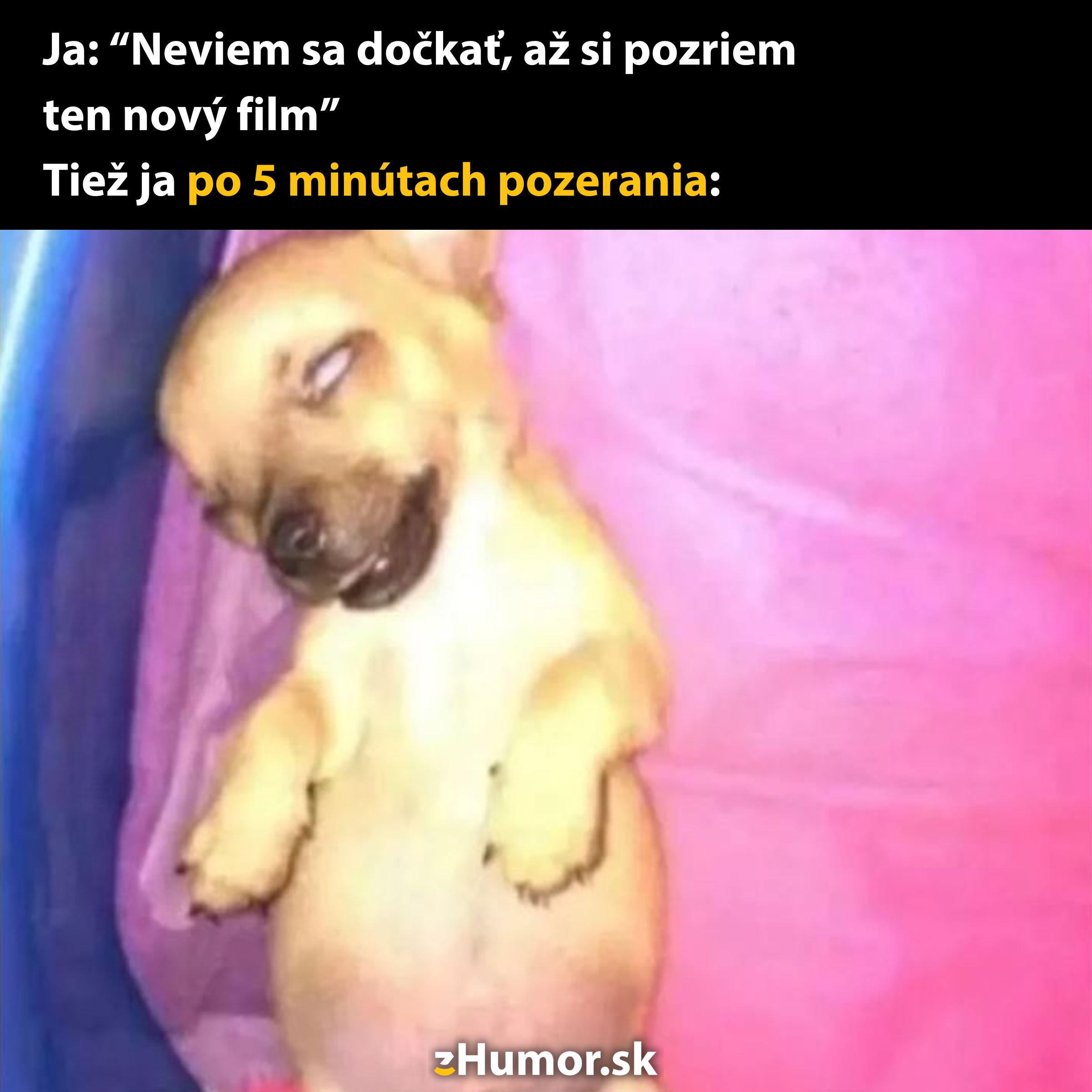 Šteňa spí na ružovom pozadí s výrazom únavy. Titulok zobrazuje vtipnú reakciu na sledovanie filmu.