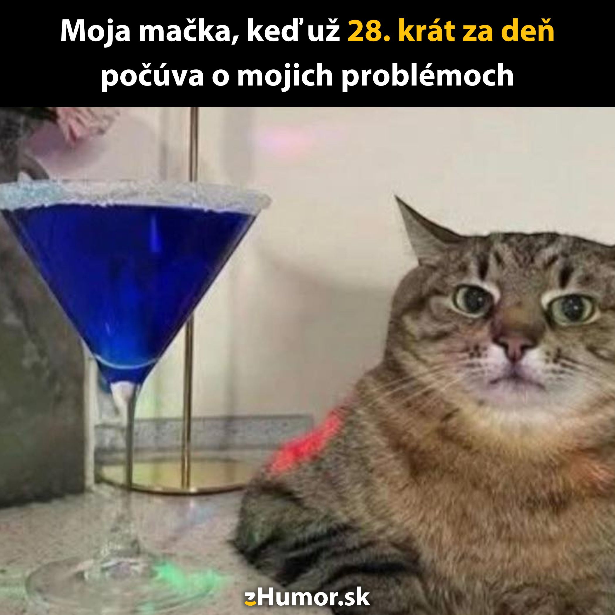 Mačka s unaveným výrazom vedľa modrého drinku, vtipný text o počúvaní problémov.