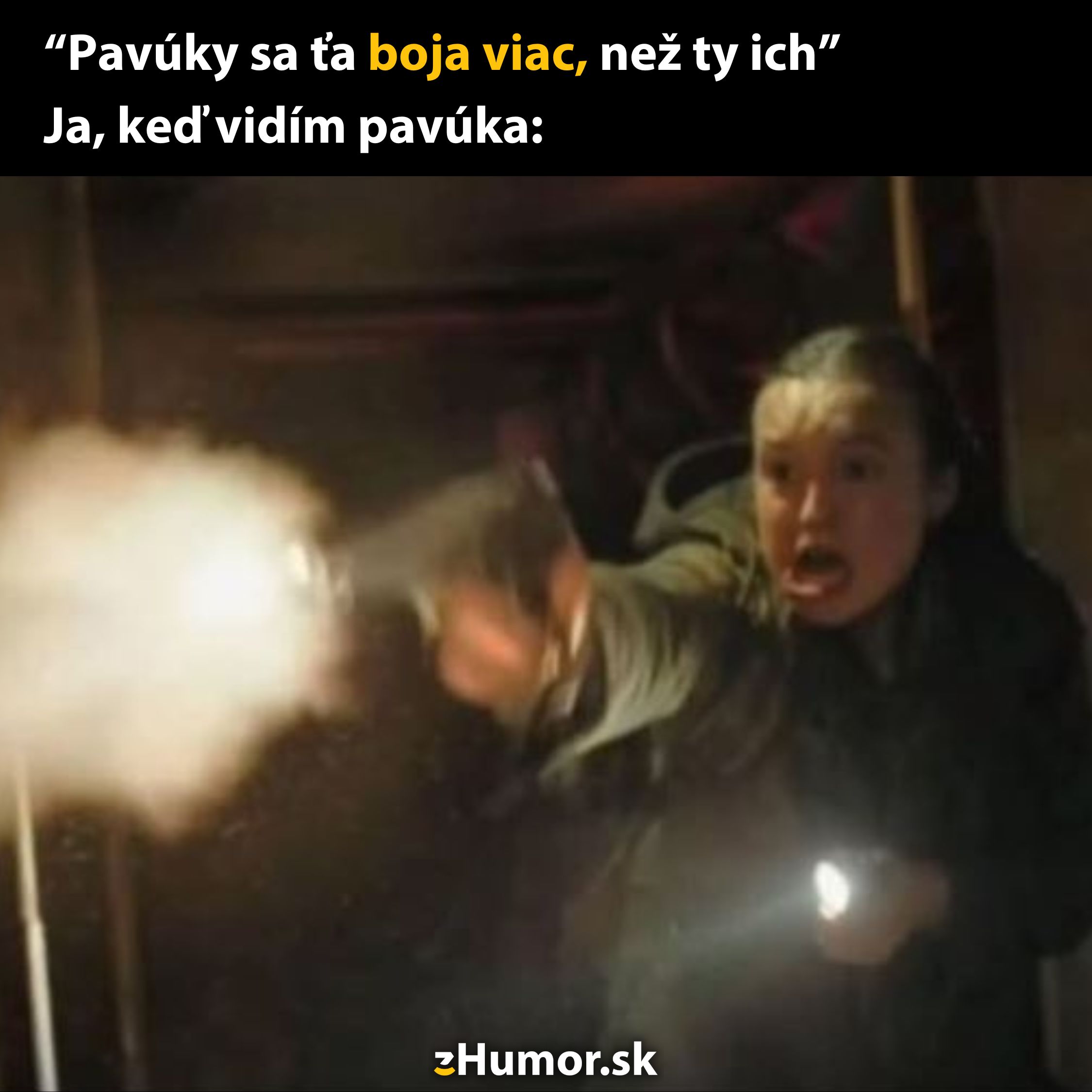Osoba vystrašená pavúkom reaguje dramatickým spôsobom, zvýraznené humorným textom.