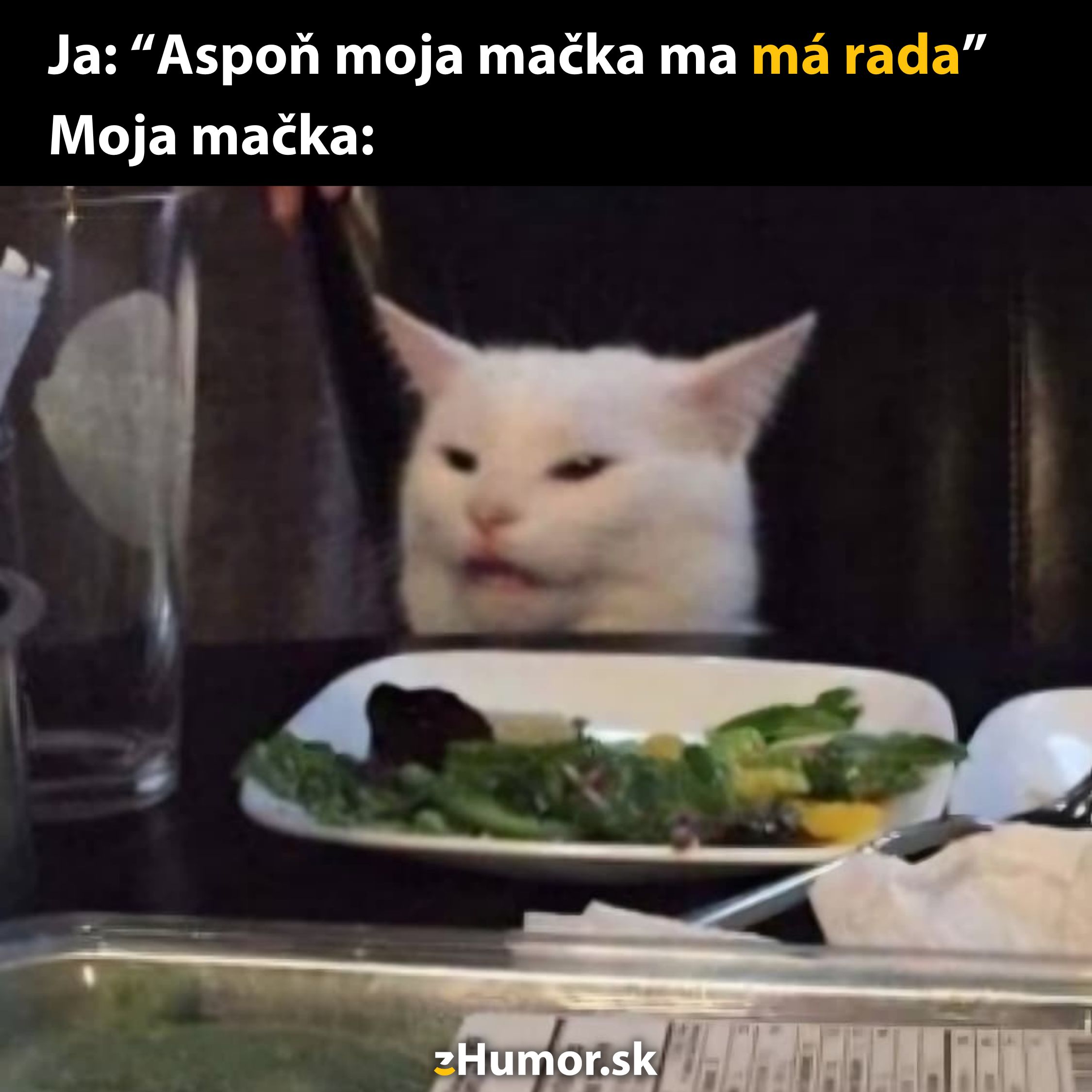 Biela mačka sedí pri stole s tanierom šalátu, zatiaľ čo nad ňou je uverejnený vtipný text.