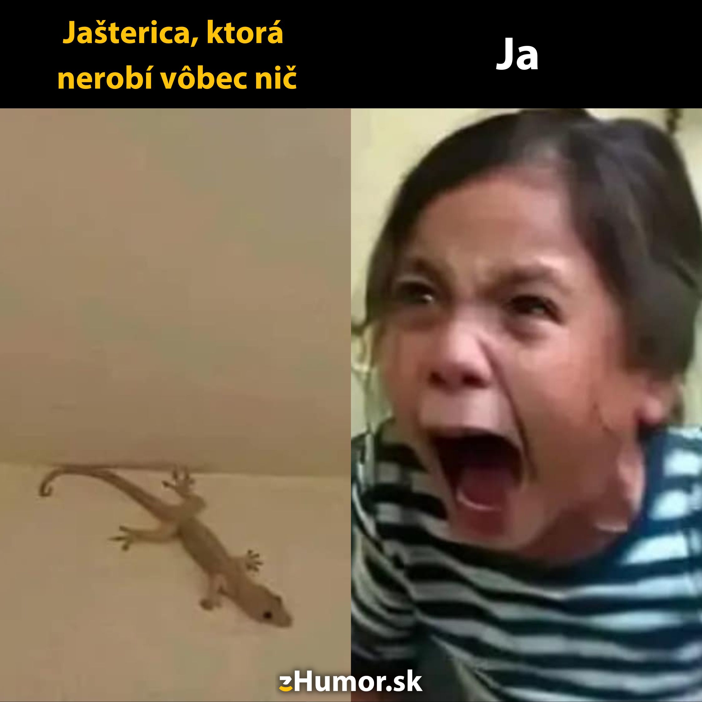 Jašterica na stene s pokojom, vedľa vystrašené dieťa kričí. Vtipná kontrastná situácia.