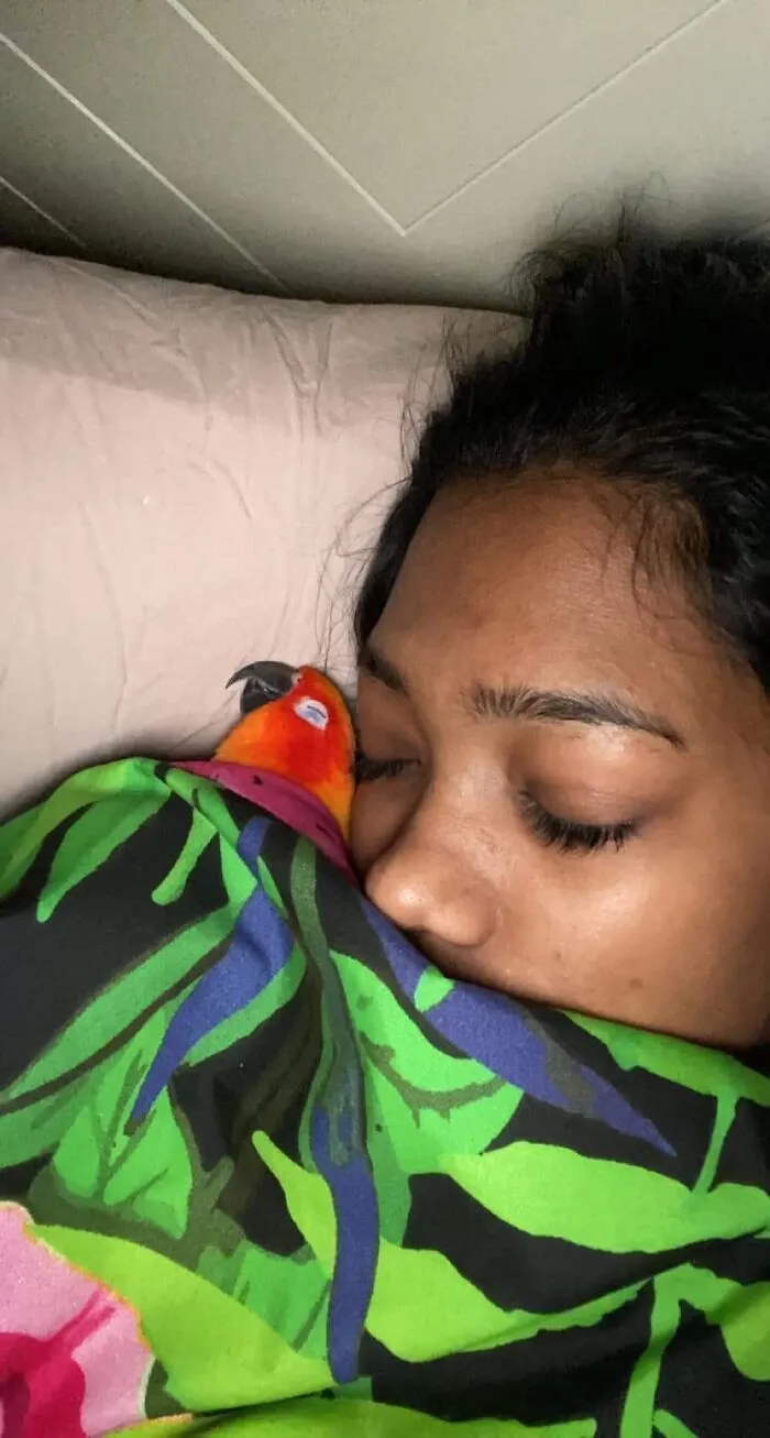 Osoba spí pri papagájovi pod farebnou prikrývkou, zobák papagája je blízko tváre.