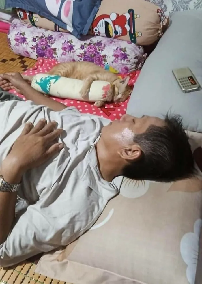 Muž a mačka spia vedľa seba, obaja pohodlne na vankúšoch.