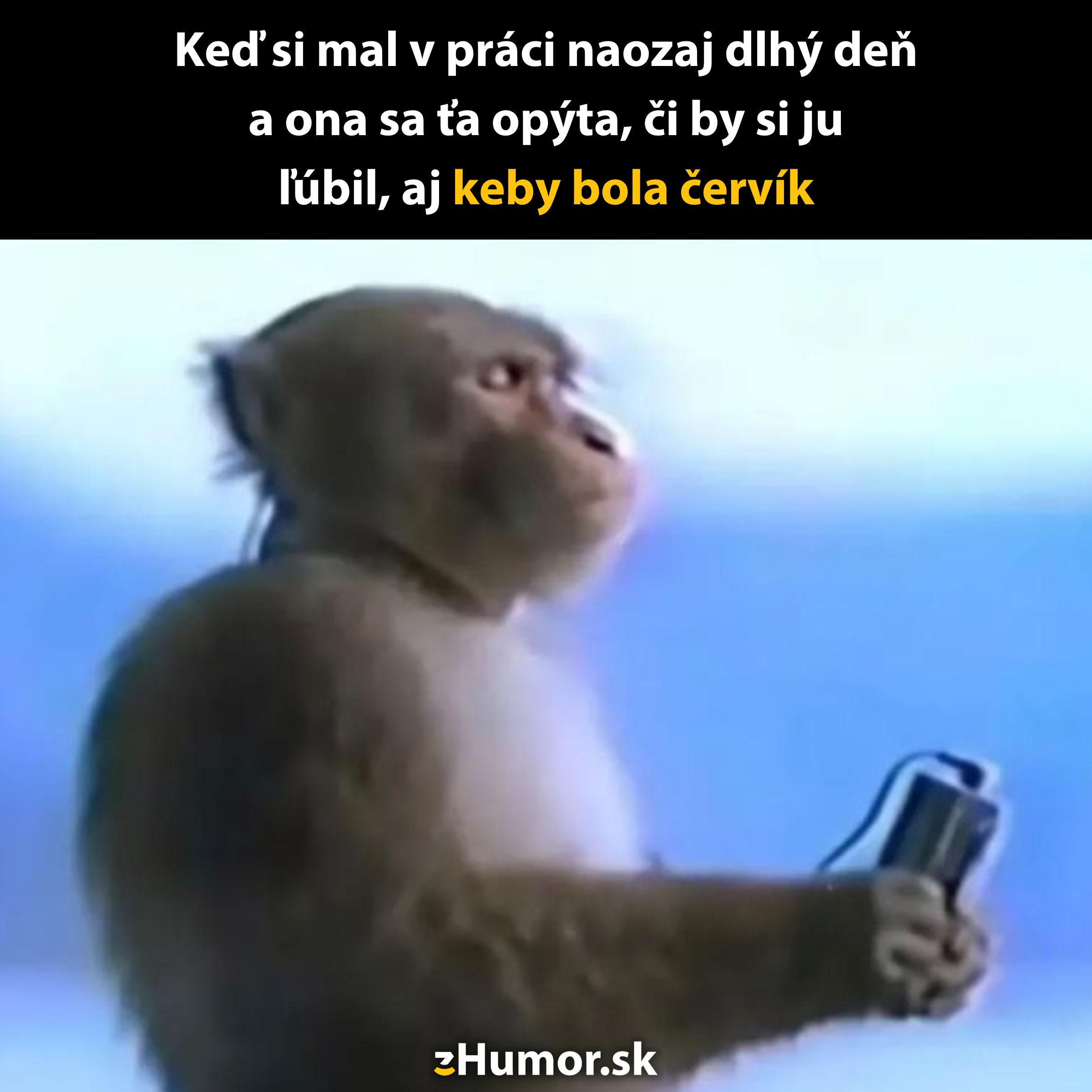 Opica so zamysleným výrazom drží predmet, popis situácie s humorným komentárom o láske aj za nepriaznivých podmienok.