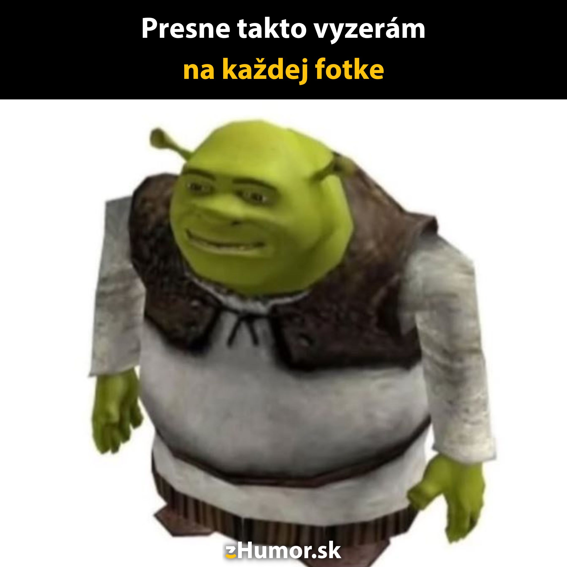 Zelená animovaná postava s vtipným textom o tom, ako vyzerá na každej fotografii.