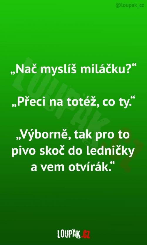 Vtipný citát o pive: Nač myslíš miláčku? Na totéž, co ty. Skvělě, skoč pro pivo a vem otvírák.