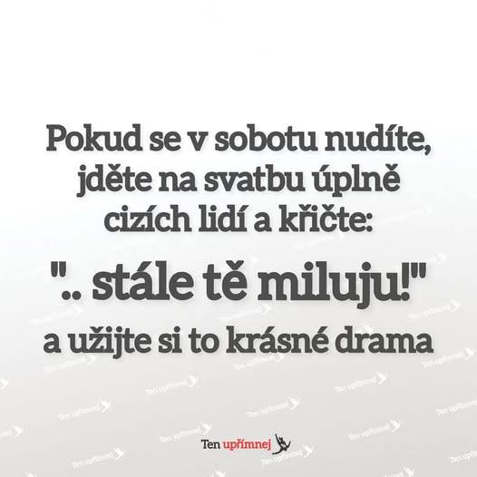 Nápis na obrázku s humorným návodom, ako sa zabaviť na svadbe cudzích ľudí kričaním: Stále tě miluju!