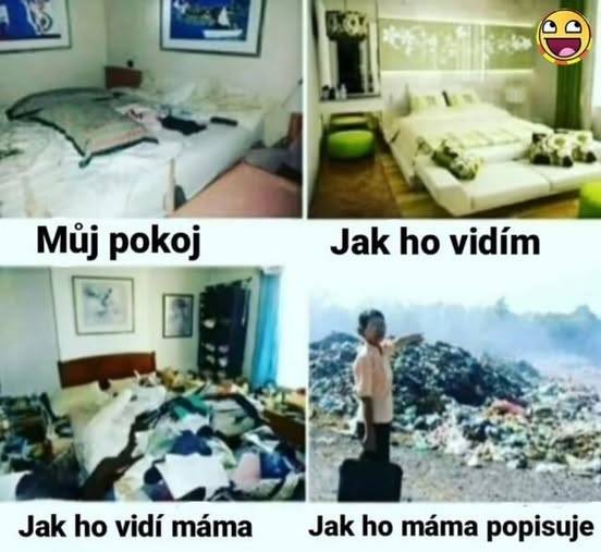 Vtipné porovnanie, ako vyzerá mladícka izba očami rôznych ľudí: majiteľa, matky a jej popisom ako skládky odpadu.