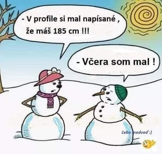 Dvaja snehuliaci vtipne diskutujú o výške v profile, spomínajú slnečný deň a topenie.