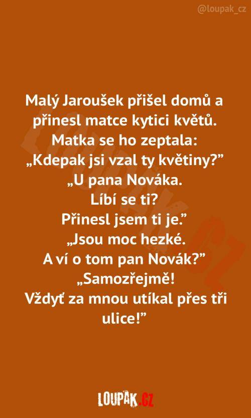 Vtipný text na oranžovom pozadí o chlapcovi, ktorý matke priniesol kvety od suseda.