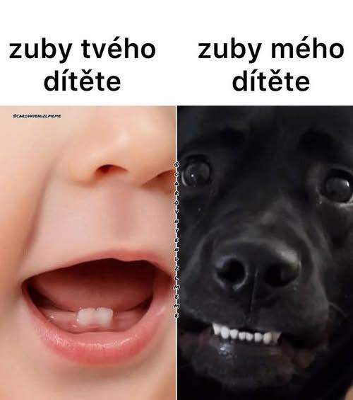 Porovnanie úsmevu dieťaťa a psa: Zuby bábätka vľavo, vpravo usmievajúci sa pes.