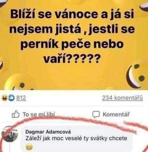 Nápis: Blíží se vánoce a já si nejsem jistá, jestli se perník peče nebo vaří? Komentár: Záleží jak moc veselé ty svátky chcete.