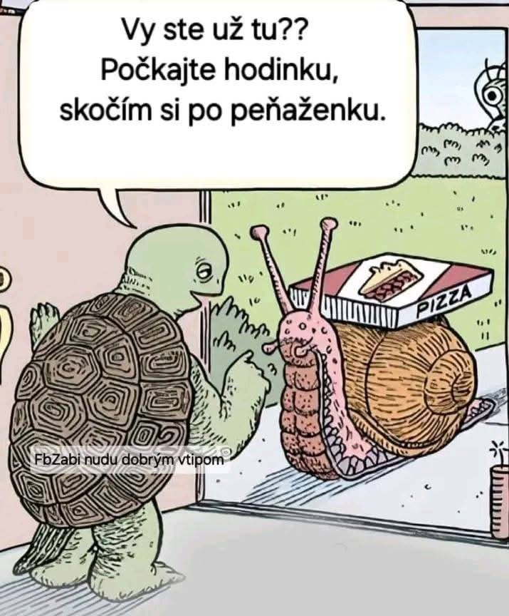 Korytnačka hovorí slimákovi doručujúcemu pizzu, že si ide po peňaženku a nech čaká hodinu.