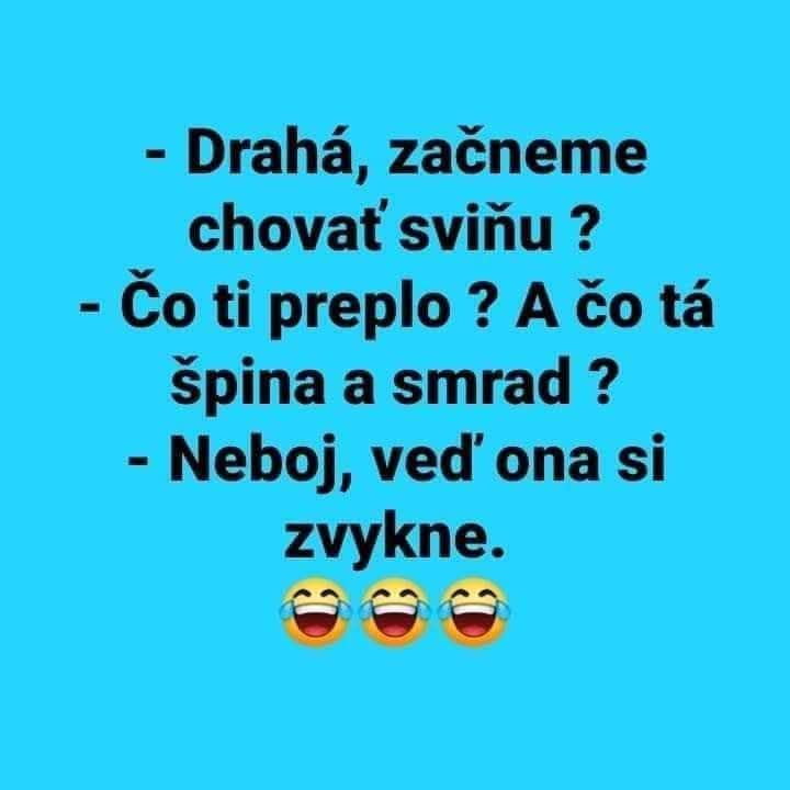 Vtipný text s otázkou o chovaní sviň a s úsmevnou odpoveďou, modré pozadie, tri smejúce sa emotikony.