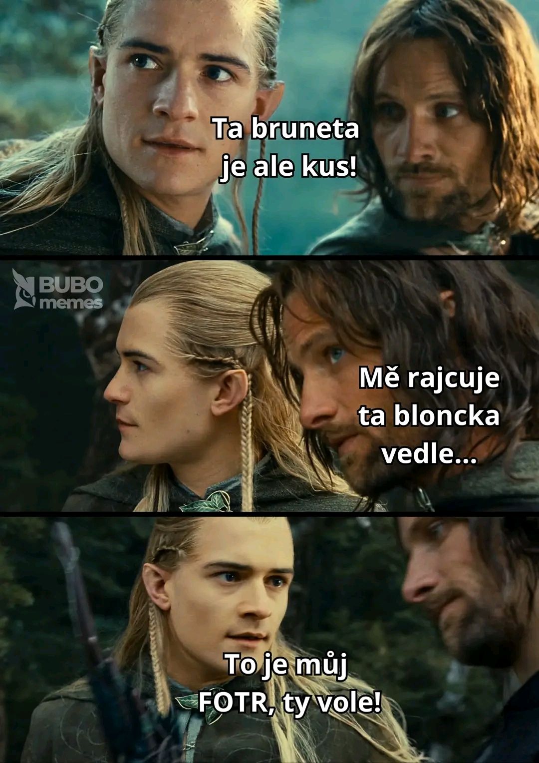 Elf s kamošom vtipne diskutujú o kráse, potom sa s prekvapením dozvedajú nezvyčajnú pravdu o ich objekte záujmu.