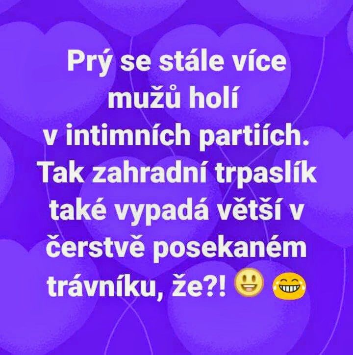 Vtipný text na fialovom pozadí o mužoch holiacich intímne partie, prirovnaný k záhradnému trpaslíkovi.