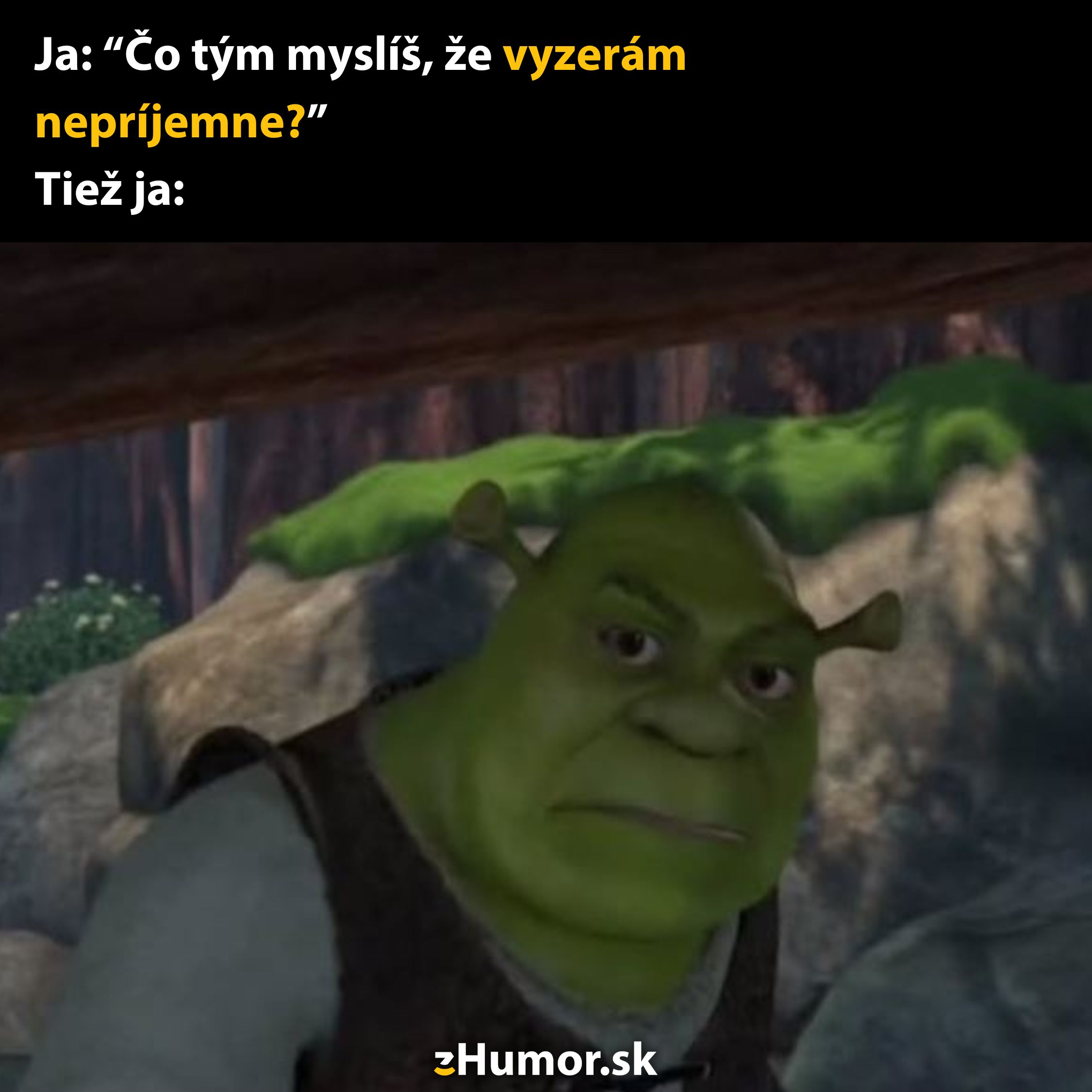 Ogro z kresleného filmu v humornom meme o nepríjemnom vzhľade a sebairónii.