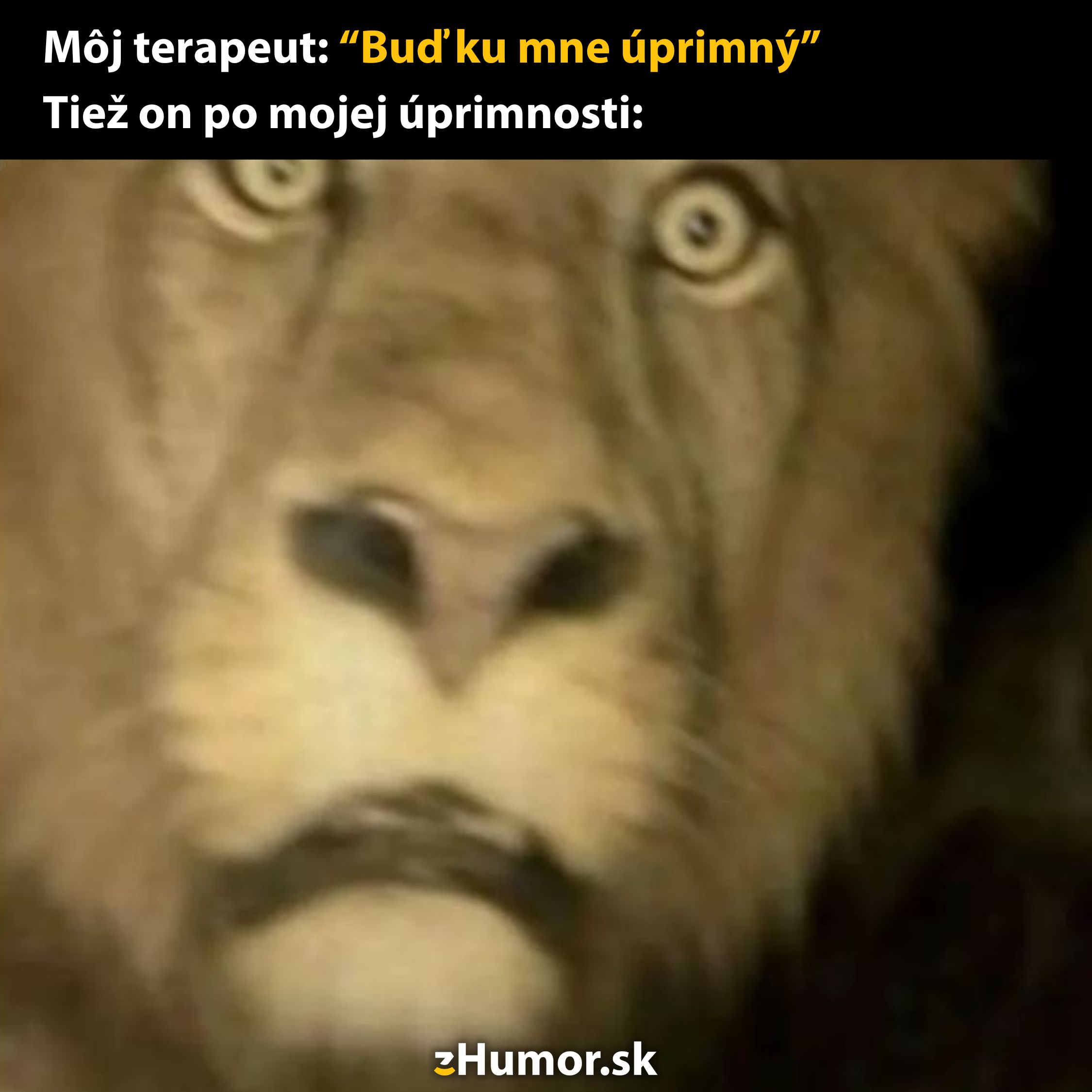 Levier s prekvapeným výrazom tváre po úprimnej poznámke, text: Buď ku mne úprimný a reakcia terapeuta.