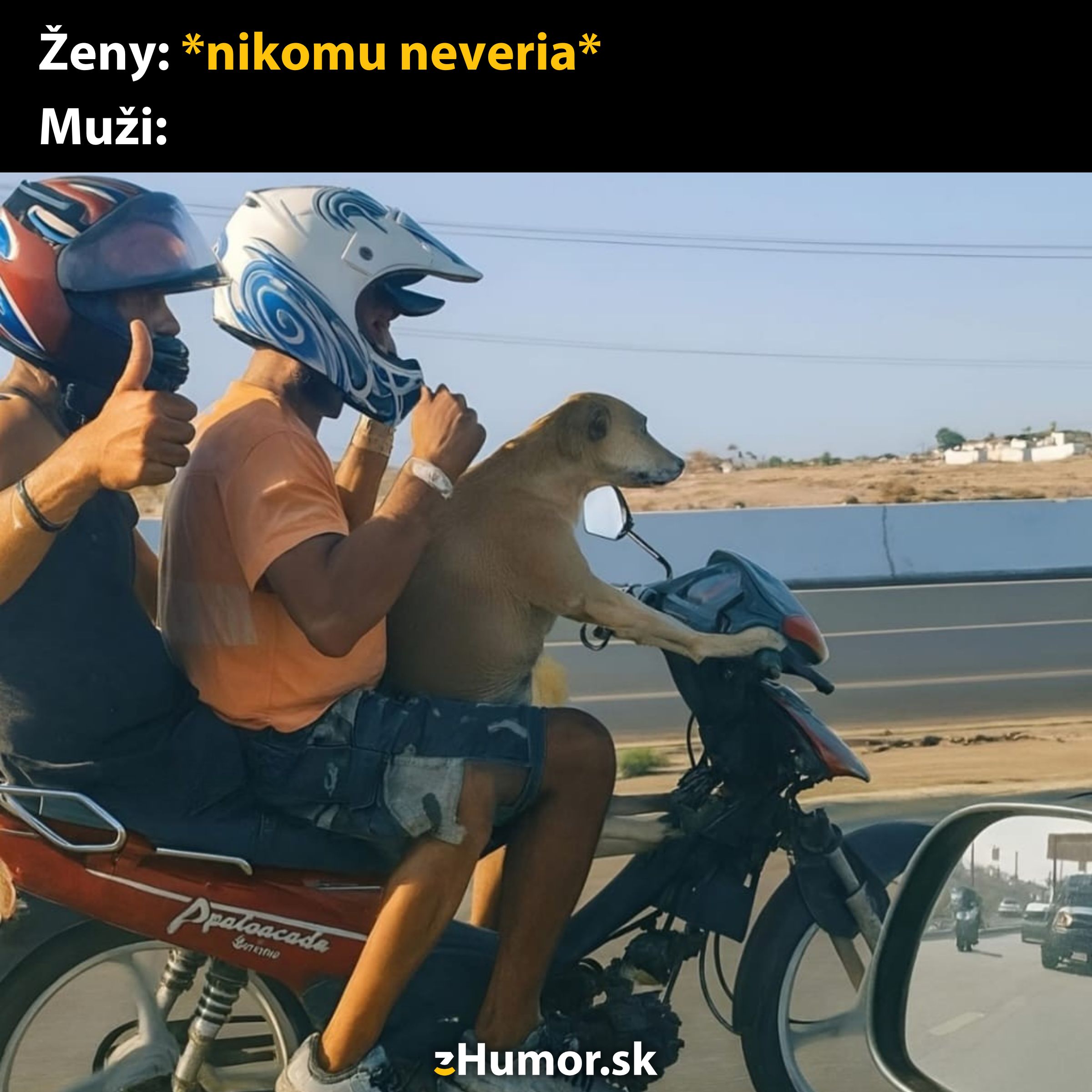 Pes šoféruje motorku s dvoma mužmi. Veselá scéna na ceste, ľudia a pes si užívajú jazdu.