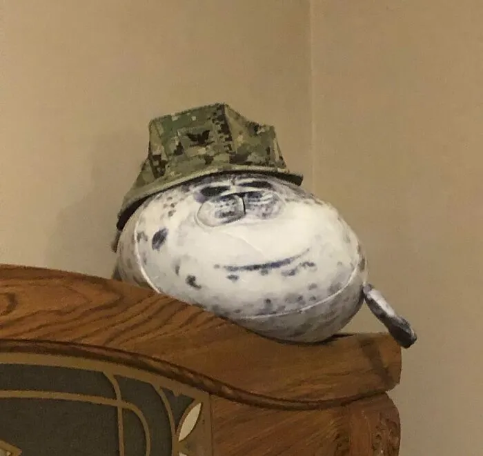 Nafukovací tuleň s maskáčovou čiapkou na drevenej poličke.