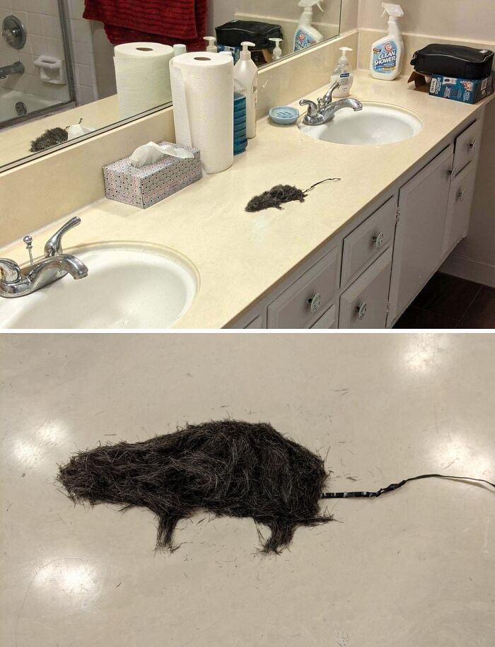 Kúpeľňová doska s drobným chumáčom vlasov a väčšou hromadou vlákien na podlahe.