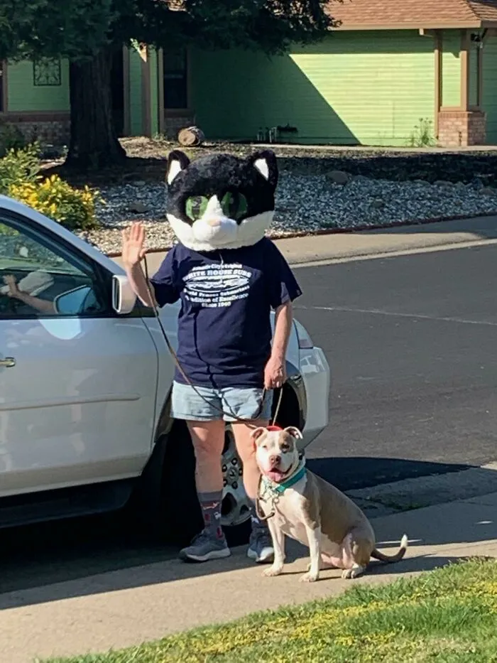 Osoba s maskou mačky a pes na vodítku stoja vedľa auta na ulici pred domom.
